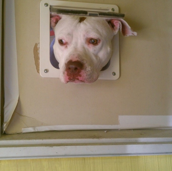 Meet your Posher, Kimberly - Picture 5 of 5